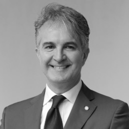 Prof Andrea Pilloni expert of hyadent bg